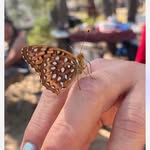 Suzanne Parenteau - @northerngirl68 - Instagram