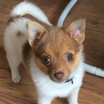 Suzanne Parkinson - @suzanneparkinson1973 - Instagram