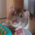 Sue Parry - @suzanne_parry132 - Instagram