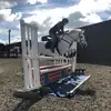 Suzanne Parry460 - @suzanneparry460 - TikTok