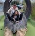 Suzanne Parsons - Facebook