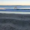 Suzanne Parsons - @user29121346 - TikTok