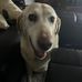 Suzanne Partain - Facebook