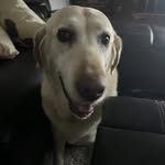 Suzanne Partain - @suzannp617 - Instagram