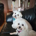 Suzanne Hylton Peck - @suzannern3 - Instagram