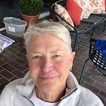 Suzanne Peck - @speck_7 - Instagram