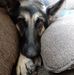 Suzanne Peloquin Phelps - Facebook