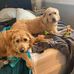 Suzanne Pence - Facebook