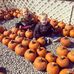 Suzanne Pickering - Facebook