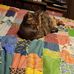 Suzanne Pickering - Facebook