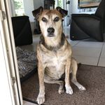 Suzanne Pickering - @spickering27 - Instagram