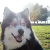 pierresuzanne492 - @pierresuzanne492 - TikTok