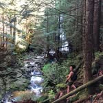 Suzanne Pierre - @suezann_cascadia - Instagram