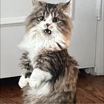 Suzanne Pinney - @suzannepinney77 - Instagram