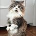 Suzanne Pinney - Facebook