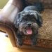 Suzanne Pinney Taylor - Facebook