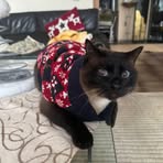 Susanne Pollack - Facebook