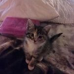 Suzanne Potts - @potts_suzanne - Instagram