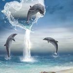 Suzanne Potts - @suzanne.potts.3745496 - Instagram