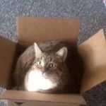 Suzanne Potts - @smpotts67 - Instagram