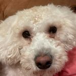 Suzanne Potts - @suzannepotts1 - Instagram