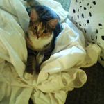 Suzanne Potts - @spotts56 - Instagram