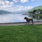 Suzanne Pratt - @weesue81 - Instagram