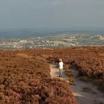Suzanne Priestley - @suzanne.priestley.1 - Instagram