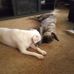 Suzanne Prosser - Facebook