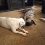Suzanne Prosser - @suzanne.prosser.16 - Instagram