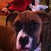 Suzanne Quarles - Facebook