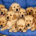 Suzanne Quincy - Facebook