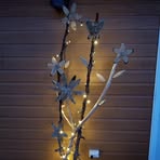Suzanne Raby - Facebook
