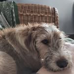 Suzanne Radford - @liveloveradish - Instagram