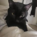 Suzanne Rees - @suzieblue2005 - Instagram