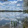suzannerees879 - @suzannerees879 - TikTok