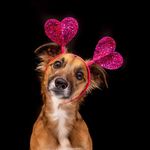Suzanne Rider - @stingalingadingdong - Instagram