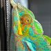 Sue Rigdon - Facebook