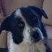 Suzanne Rock - Facebook