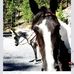 Suzanne Rockwellcross - Facebook