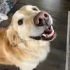 suzanneroos7 - @suzanneroos7 - TikTok
