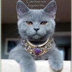 Suzanne M Rosser - @peonytiger - Instagram