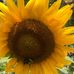 Suzanne Rush - Facebook