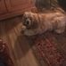 Suzanne Royer - Facebook