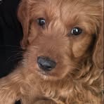 Suzanne Ruby - Facebook