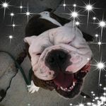 Suzanne Rucker - @suzwarming - Instagram