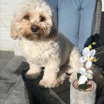 Suzanne Ryan - @suzanneryan270 - Instagram