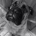 Suzanne Ciabattoni-Saylor - Facebook