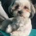 Suzanne Sayles - Facebook
