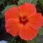 Suzanne Saylor - @suzannesaylor11 - Instagram